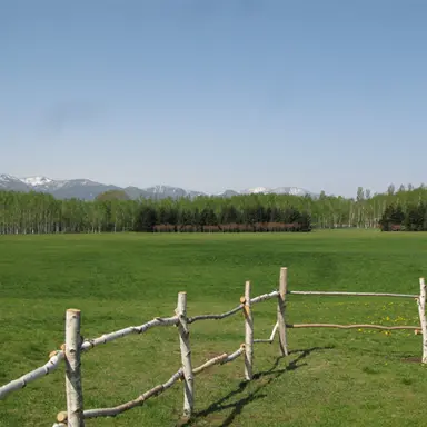 Profile image of Media