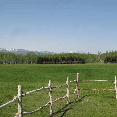 BulkyBook9121의 Human-Horse Unity (If You Know What I Mean)