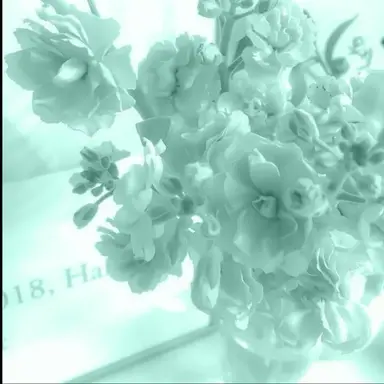 Profile image of 예엥