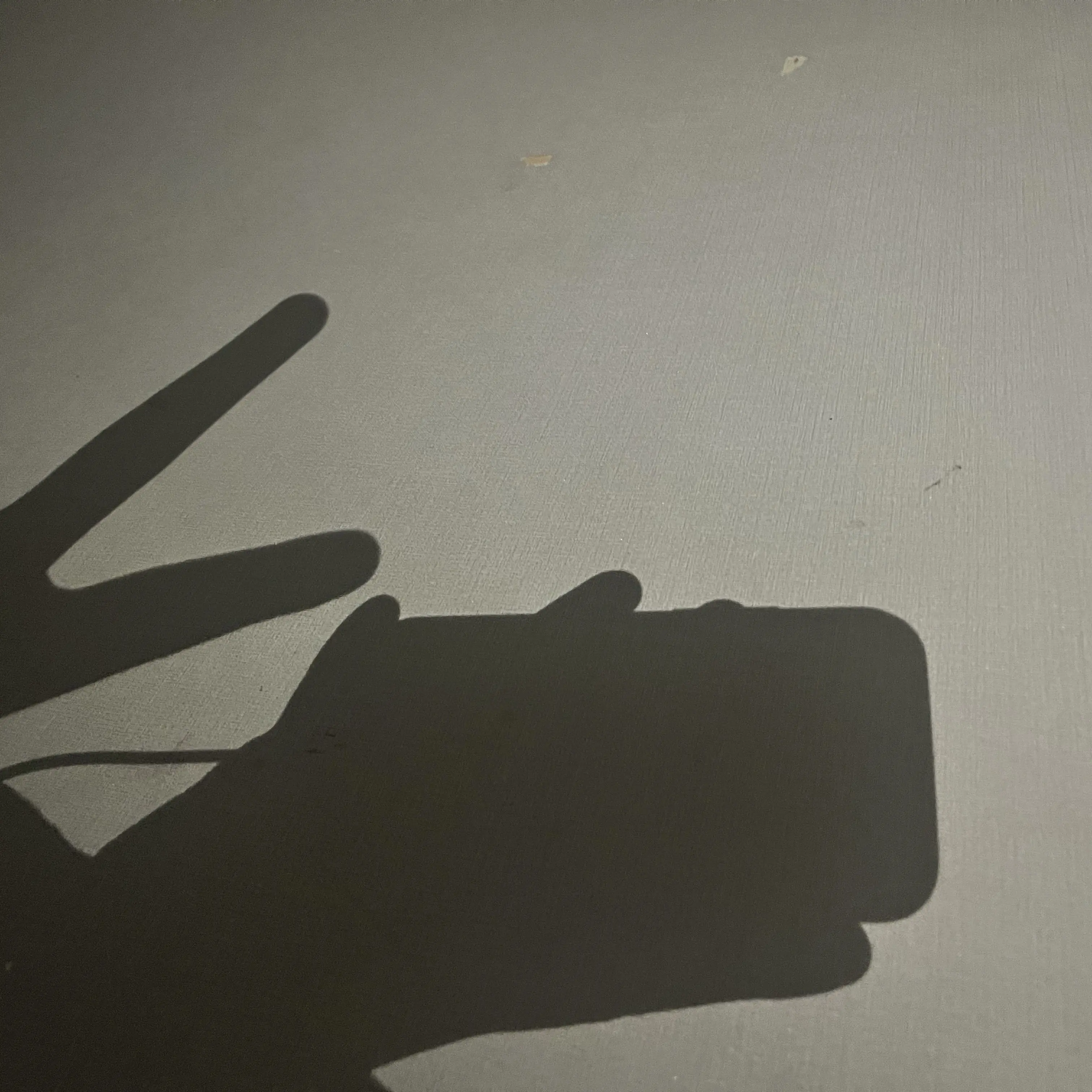 EarthyLens2922의 맘대로 쓰세요 ☺️