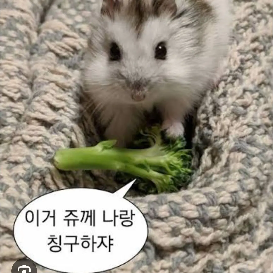 GuiltyHelm4027의 우유참치가당신을좋아한다?!