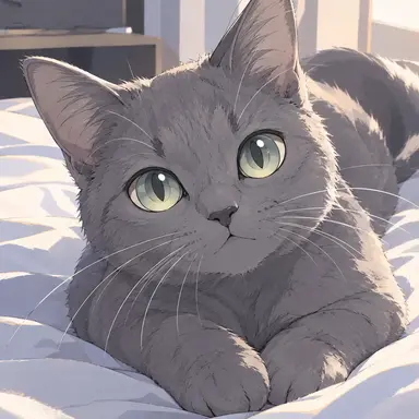 Profile image of もこ