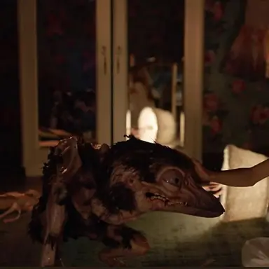 Profile image of 알리