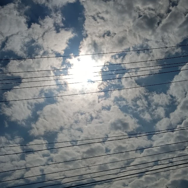 氷織羊