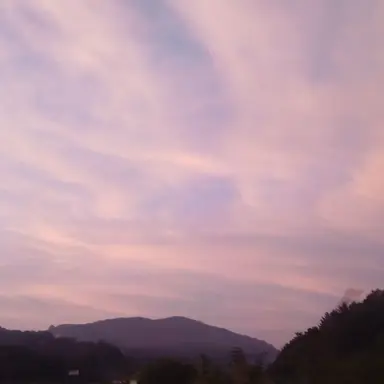 Profile image of 문베이엄