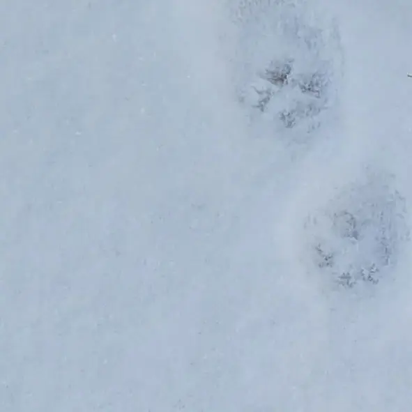 19880818xxxg의 그거, 사랑 아니야.