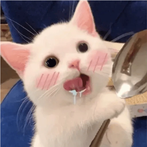 허씬롱