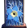 Profile image of 물망초