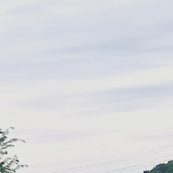 민채성