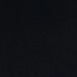 김동현