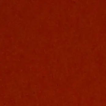 Profile image of ㅅㅎ