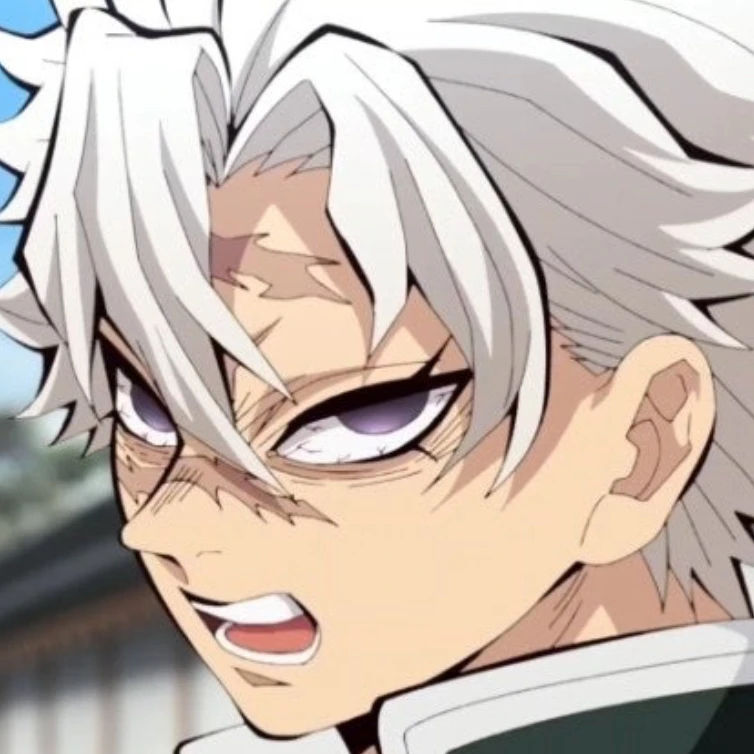 시나즈가와 사네미