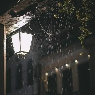 Profile image of 한태양