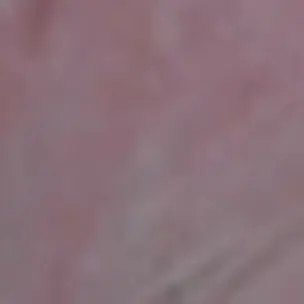 Profile image of 최성곤