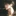 박선우