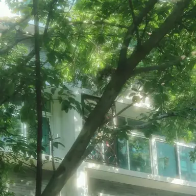 Profile image of 전유빈