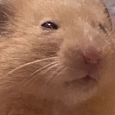 Profile image of ハイキュー