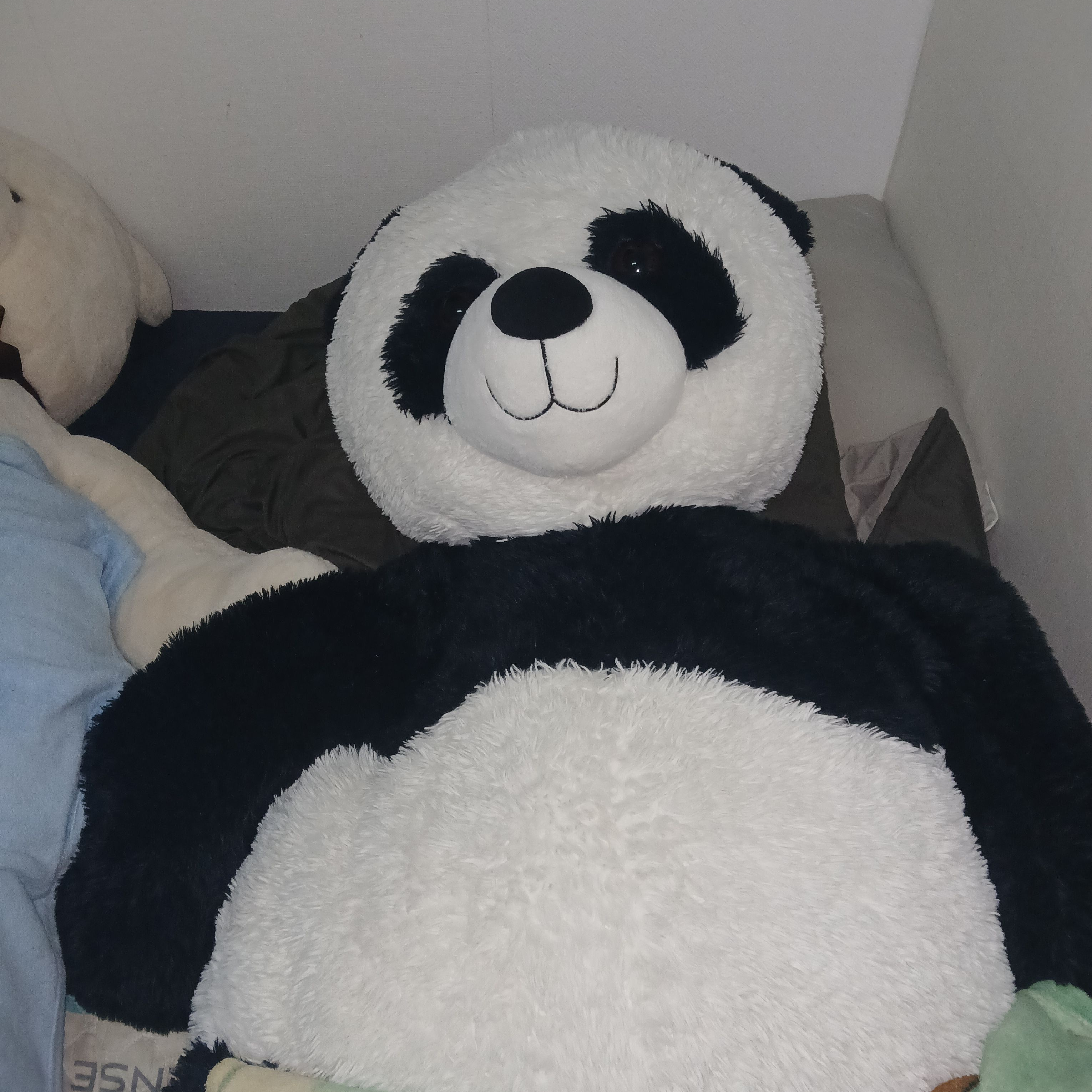 공지 설명 대표 이미지