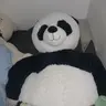 Profile image of 걍공지