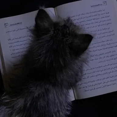 Profile image of ミンホ