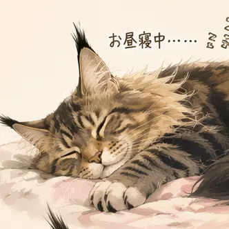 Profile image of マロ