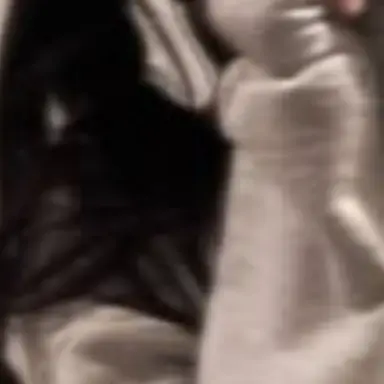 Profile image of 綾瀬沙耶