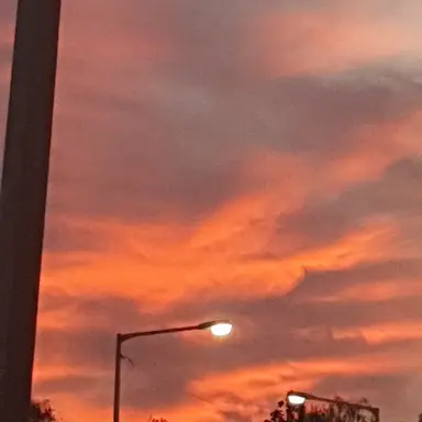 Profile image of 우소노 모소