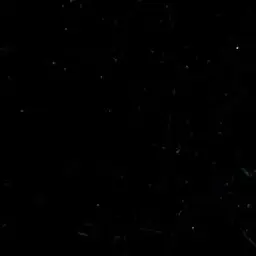 LankyCoal5859의 애완인간