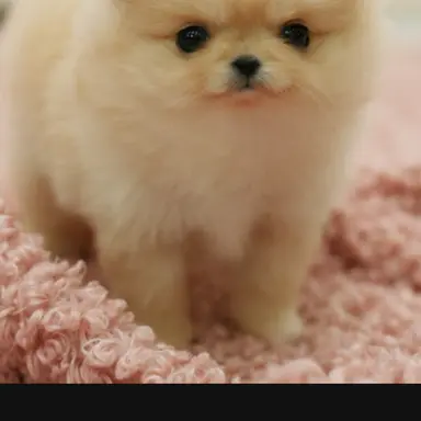 Profile image of 예준