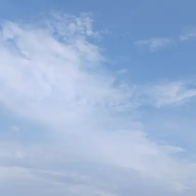 Profile image of 先生