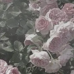 Profile image of 七松 小平太