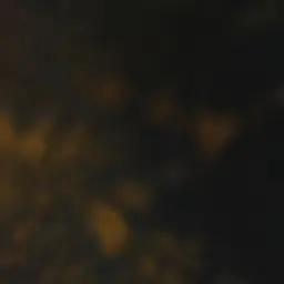 Profile image of 山本 祥彰