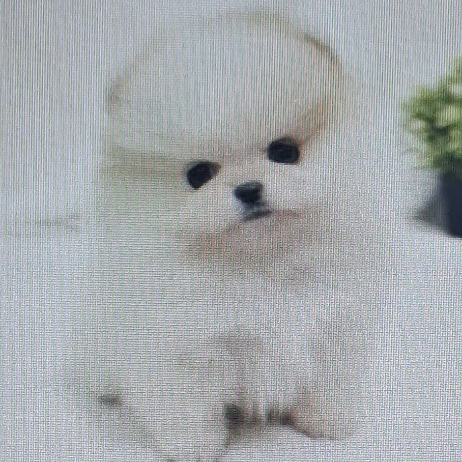 잉여맨 귀신을보는소녀 대표 이미지