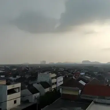 Profile image of City Life