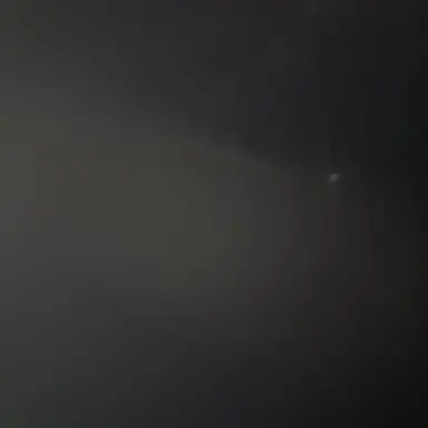 Profile image of 박성호