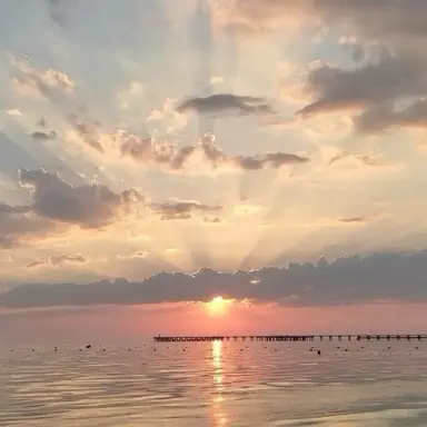 Profile image of 엄성현