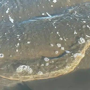 Profile image of 박우주