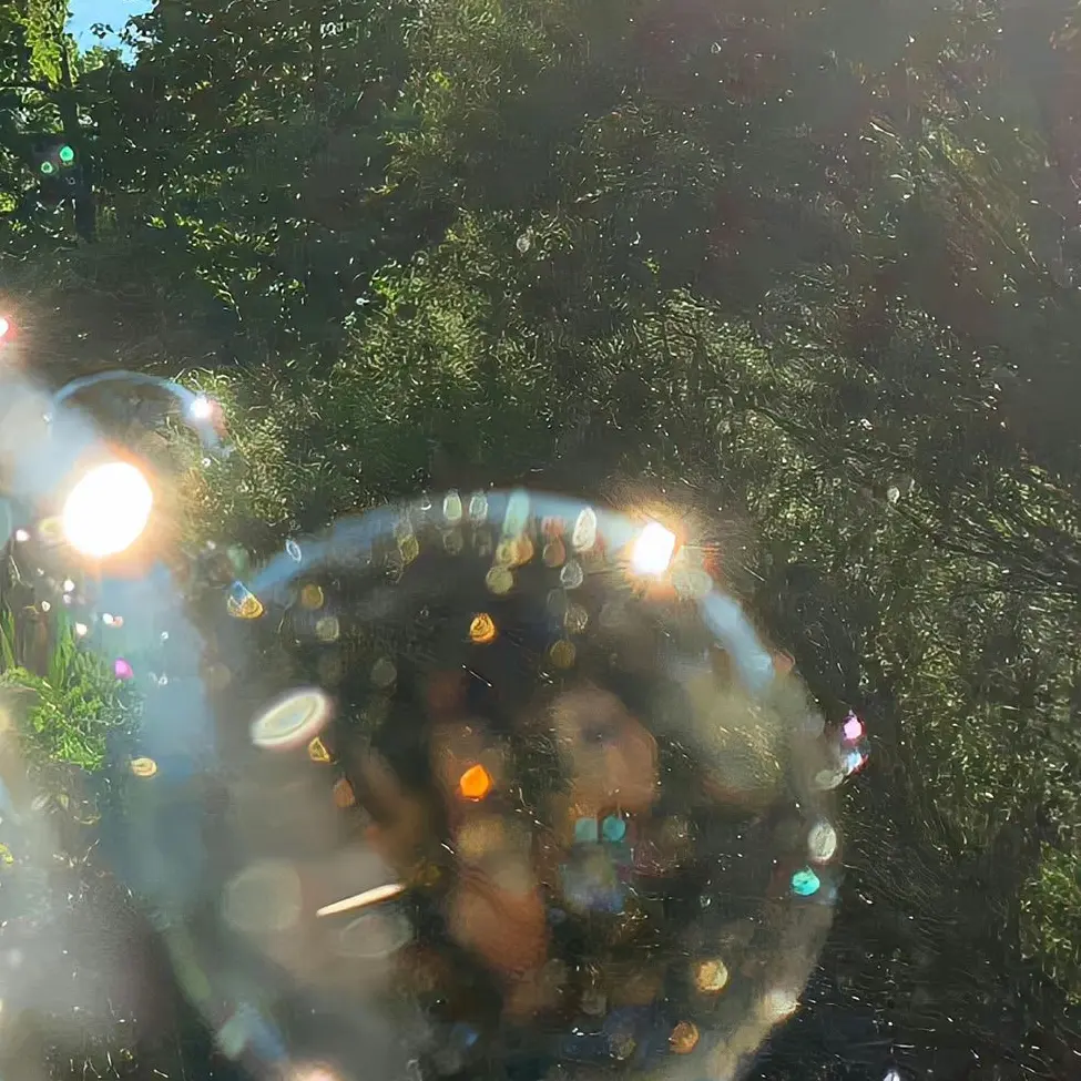 NeedyDeli1760의 안건호