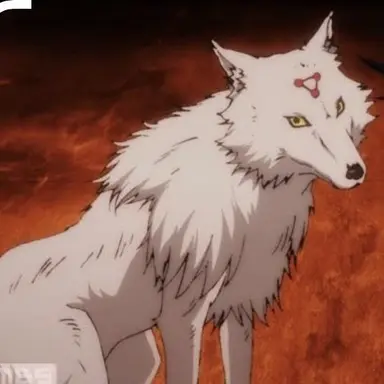 Profile image of 玉犬白