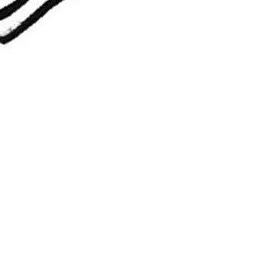 Profile image of Leorio
