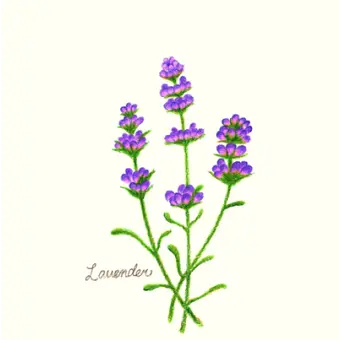 Profile image of 덕개