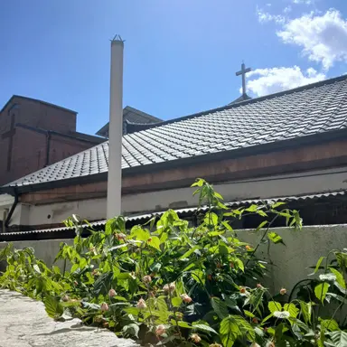 Profile image of 선생님