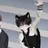 잭