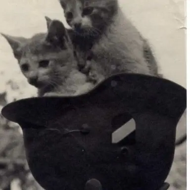 Profile image of ミハイル