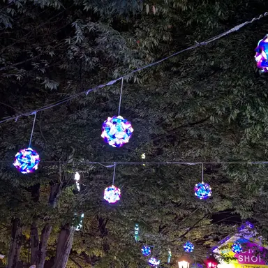 Profile image of ユゥ