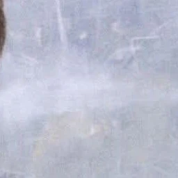 지민