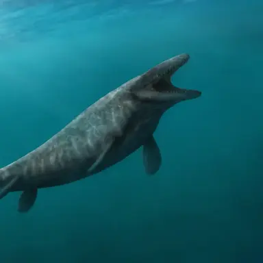 Profile image of 모사