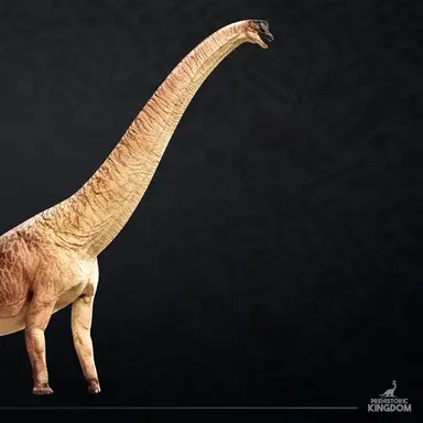 Profile image of 브라키오