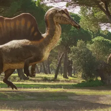 Profile image of 스피노