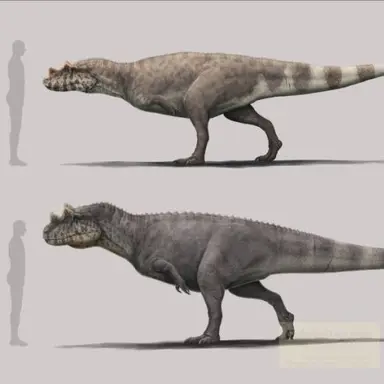 Profile image of 케라토